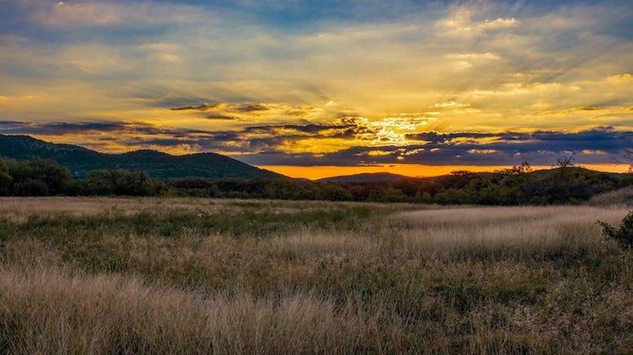 Sunrise coming over mountains behind a field of tall grass in the Texas Hill Country