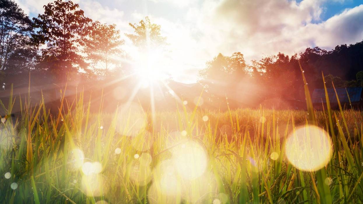 Sunrise,