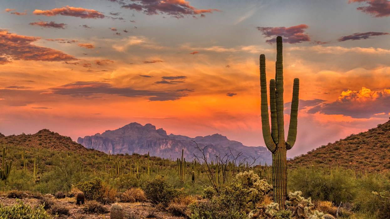 Sunset in the Sonoran Desert near Phoenix, Arizona