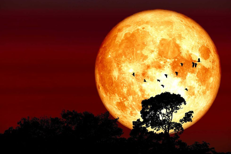 Super Moon
