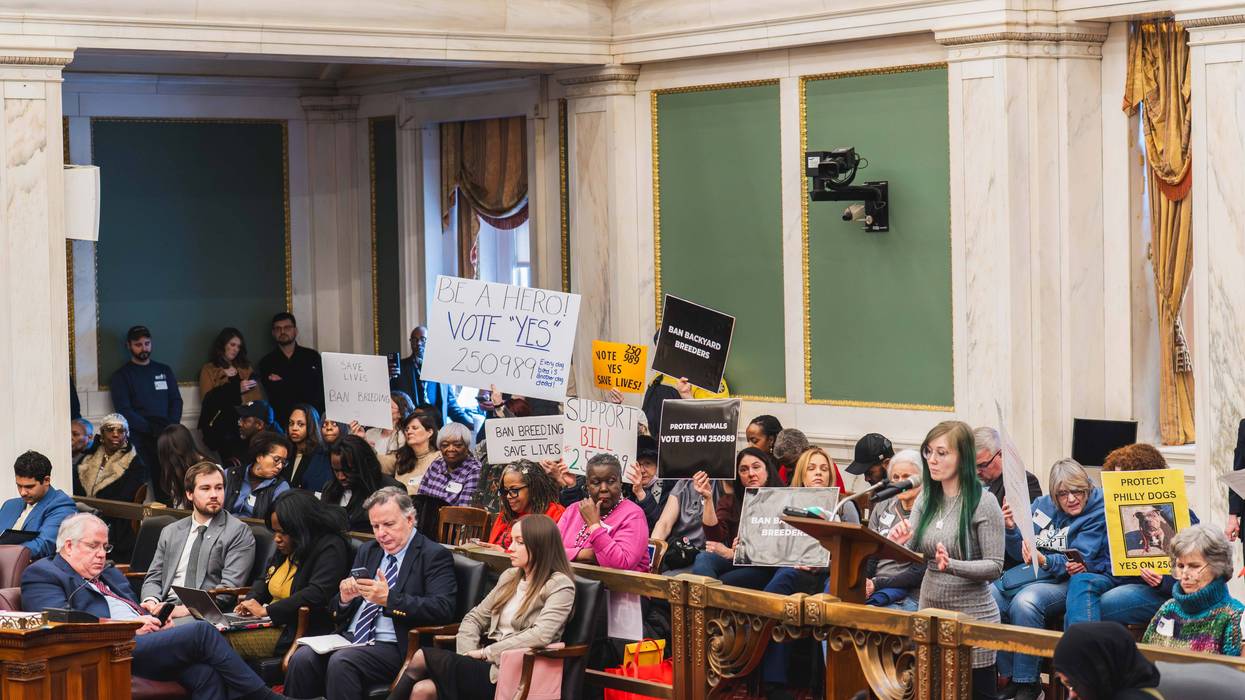 Supporters of the "backyard breeder" ban hold signs at Philadelphia City Council's meeting on Thursday, Feb. 19, 2026.