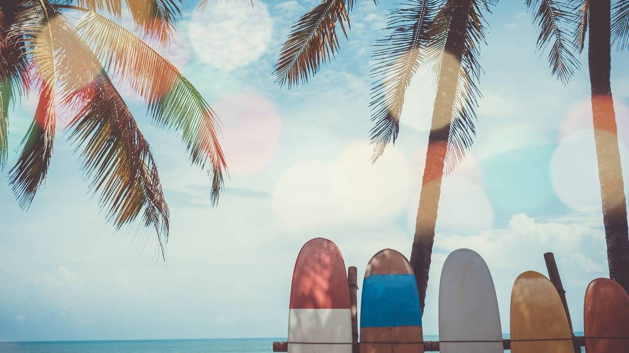 Surfboards