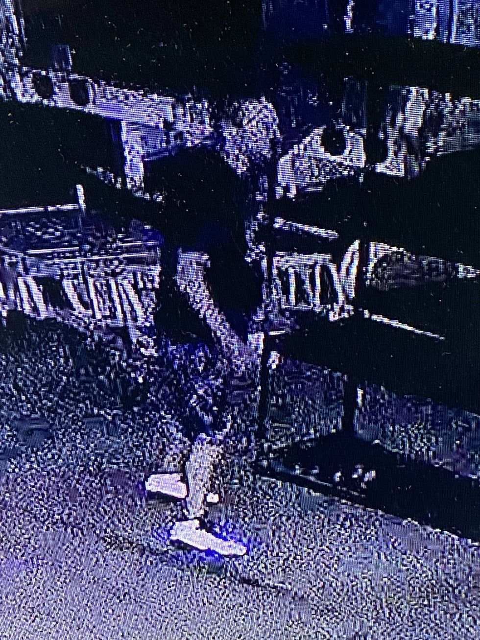Surveillance video capture