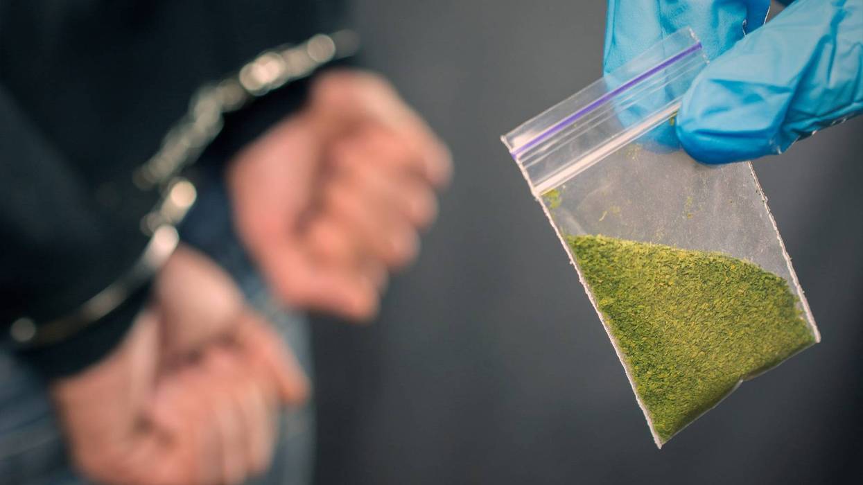 Suspect in handcuffs while investigator holds small bag with possible marijuana in it