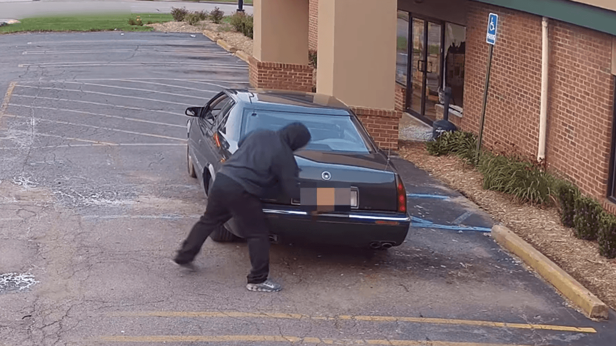 Suspect reveals license plate following Livonia burglary