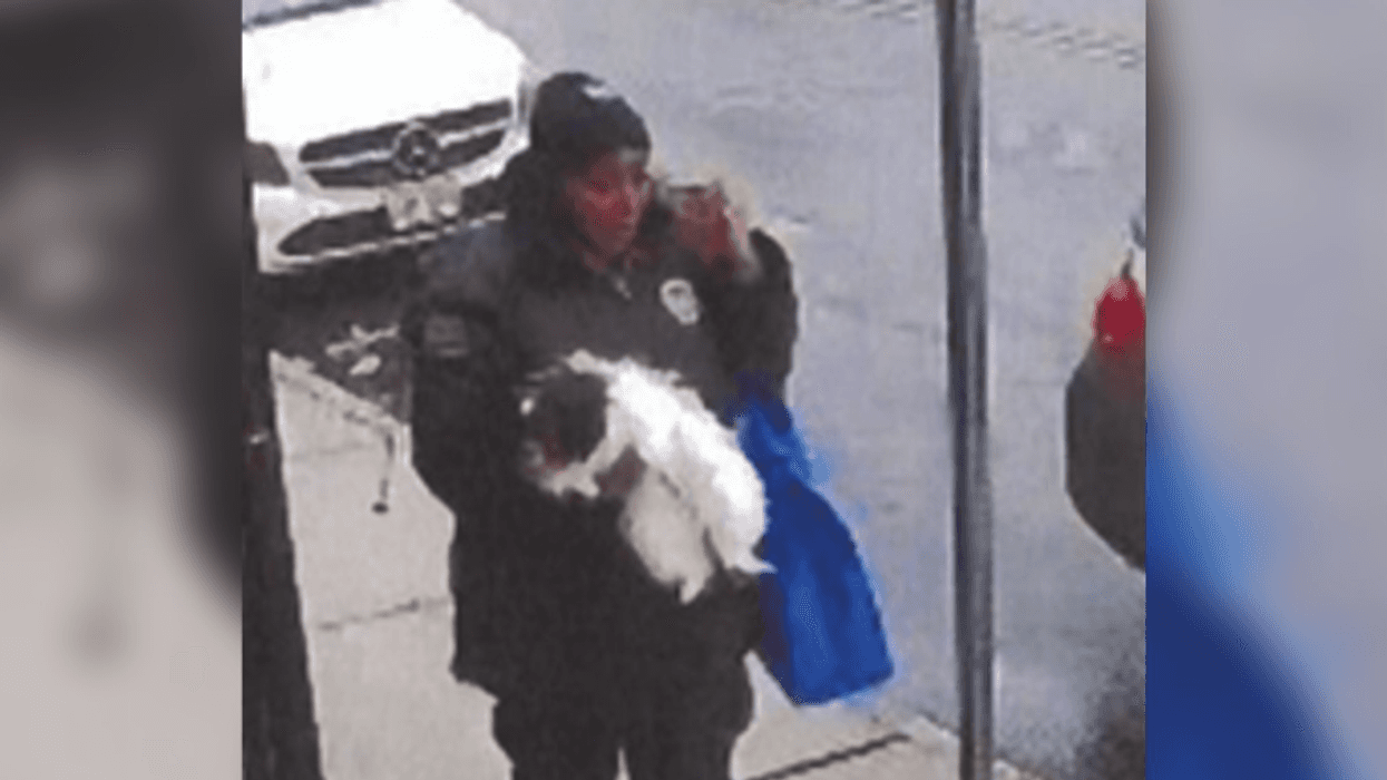 Suspect wanted for stealing a dog from the front yard of a Newark home