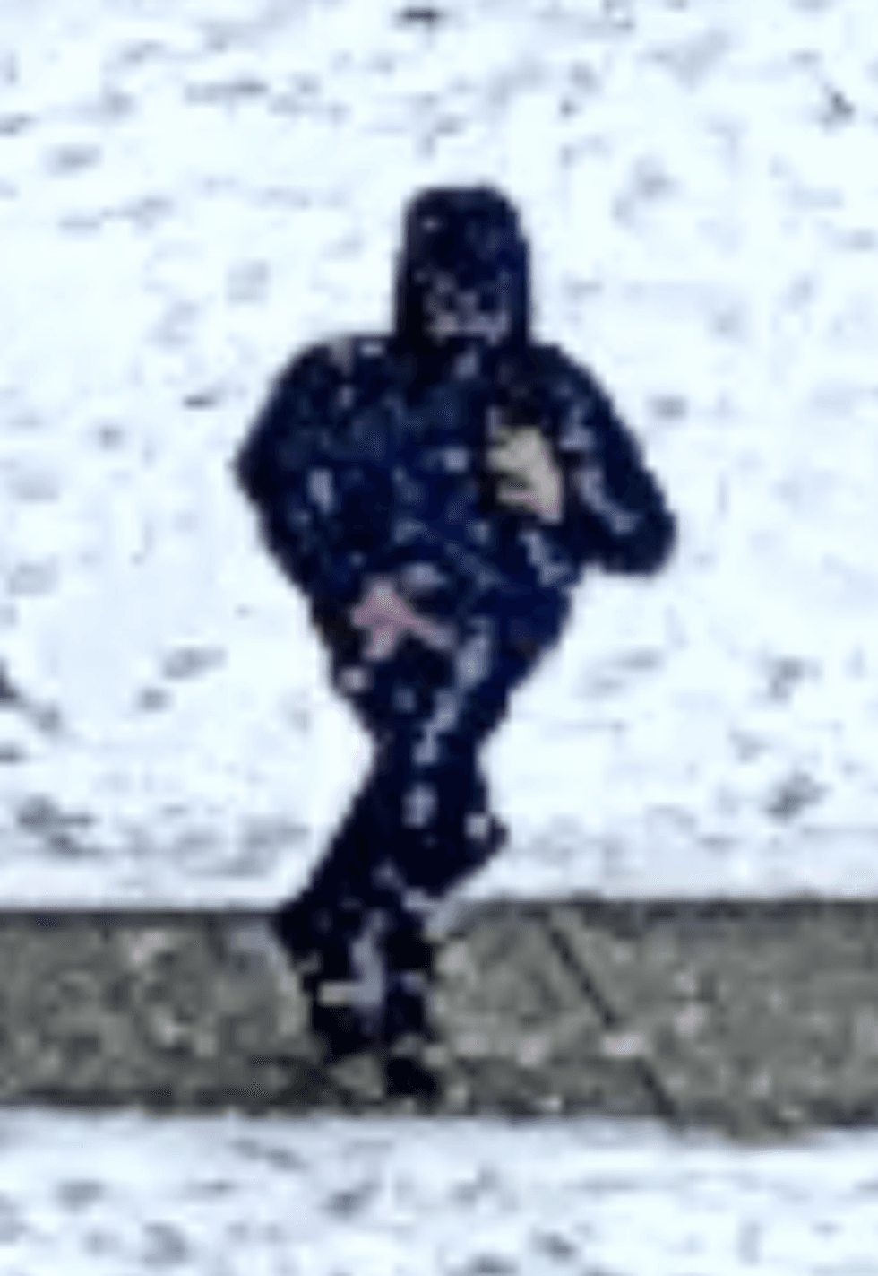 suspect
