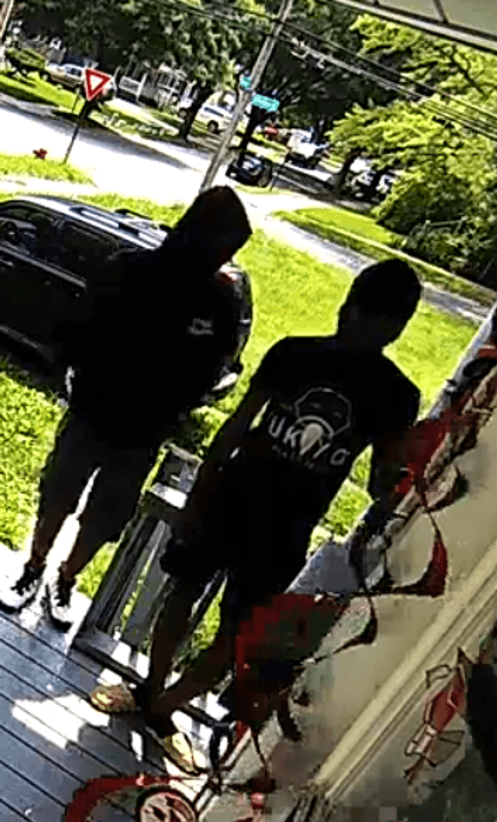 suspects in home invasion / armed robbery