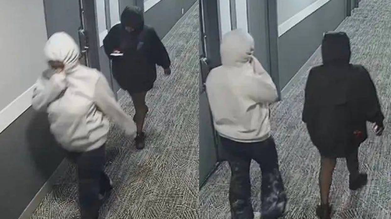 Suspects in kidnapping of twins