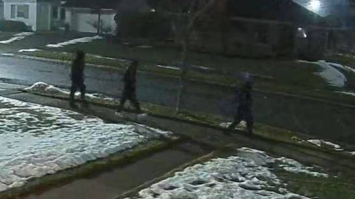 Suspects in thefts from vehicles.