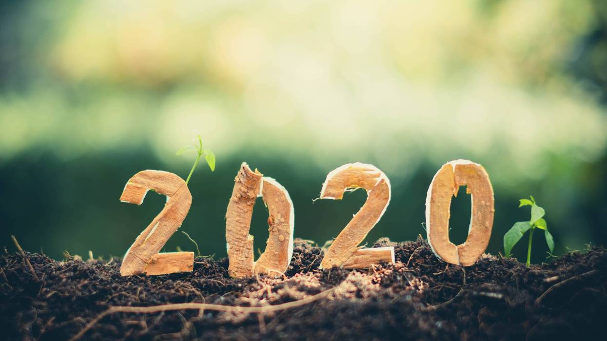 Sustainable 2020
