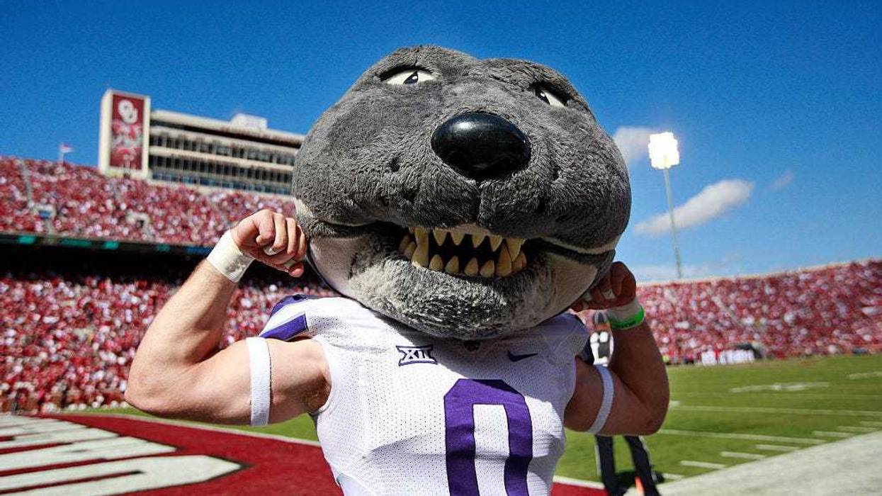 Talking Wildcat signings with Tim Fitzgerald