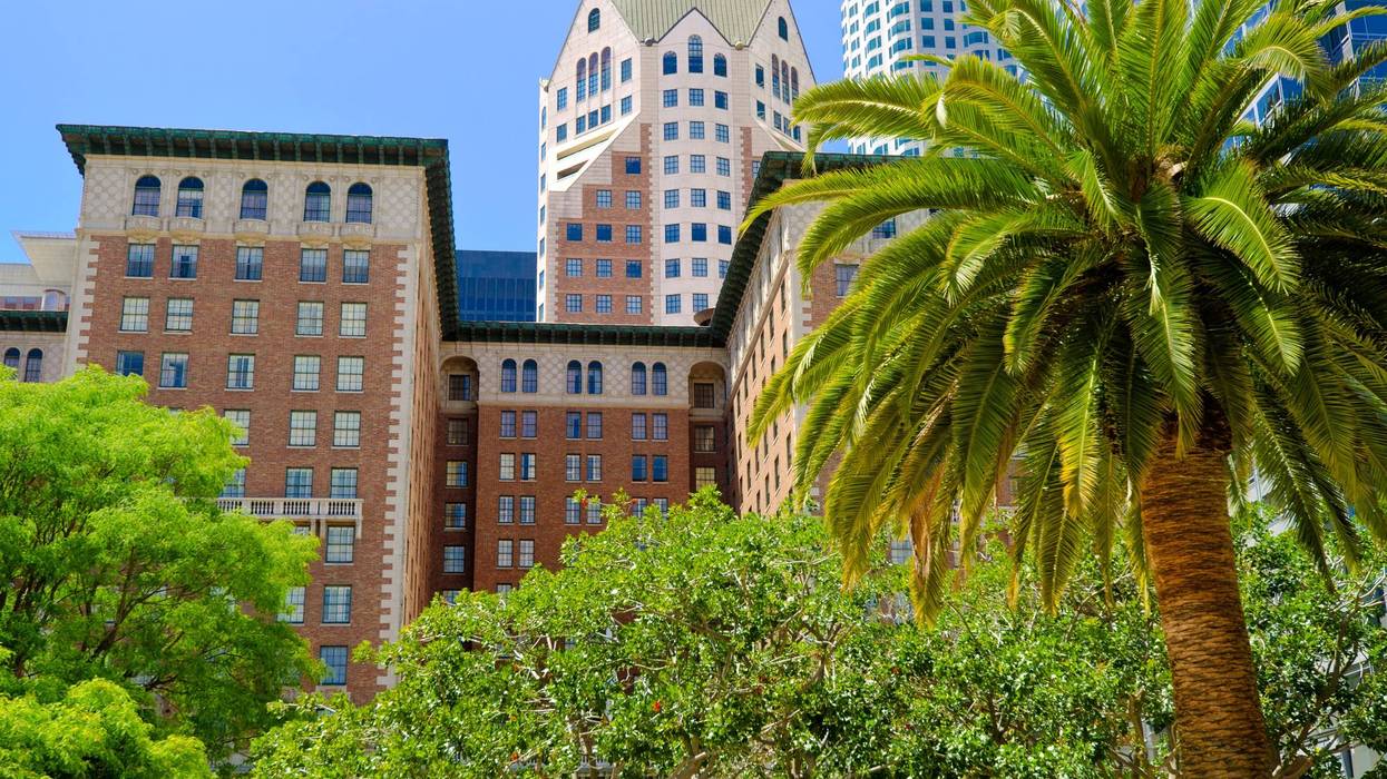 tall hotel behind palm trees