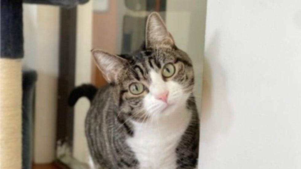 Talley @ Austin Humane Society 10/4/23