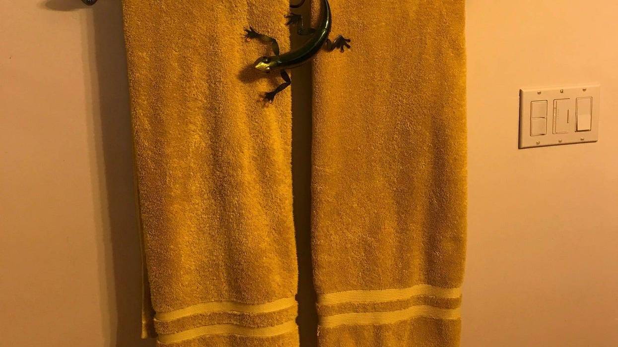 Tammy Towel