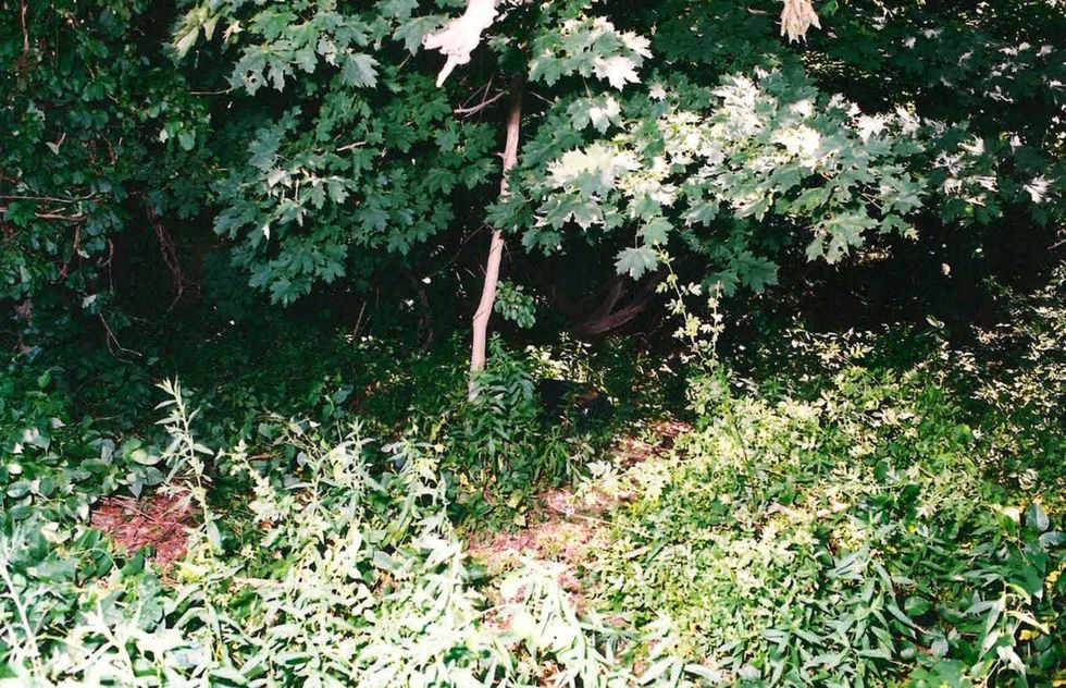 Tanya Jackson was found at Hempstead Lake State Park in 1997, her body dismembered and long unidentifiable beyond a tattoo of a peach