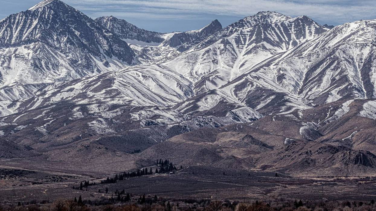 Tara Suppes/Getty Images