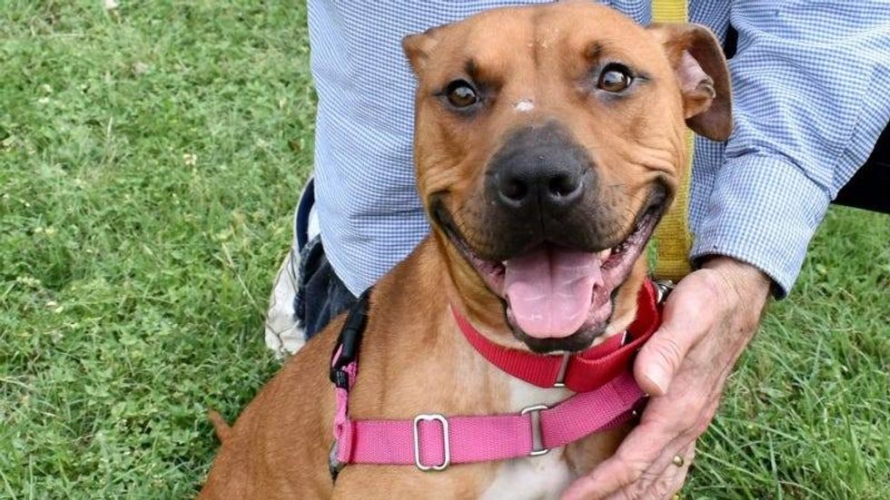 Tator Tot @ Austin Humane Society 2/07/24