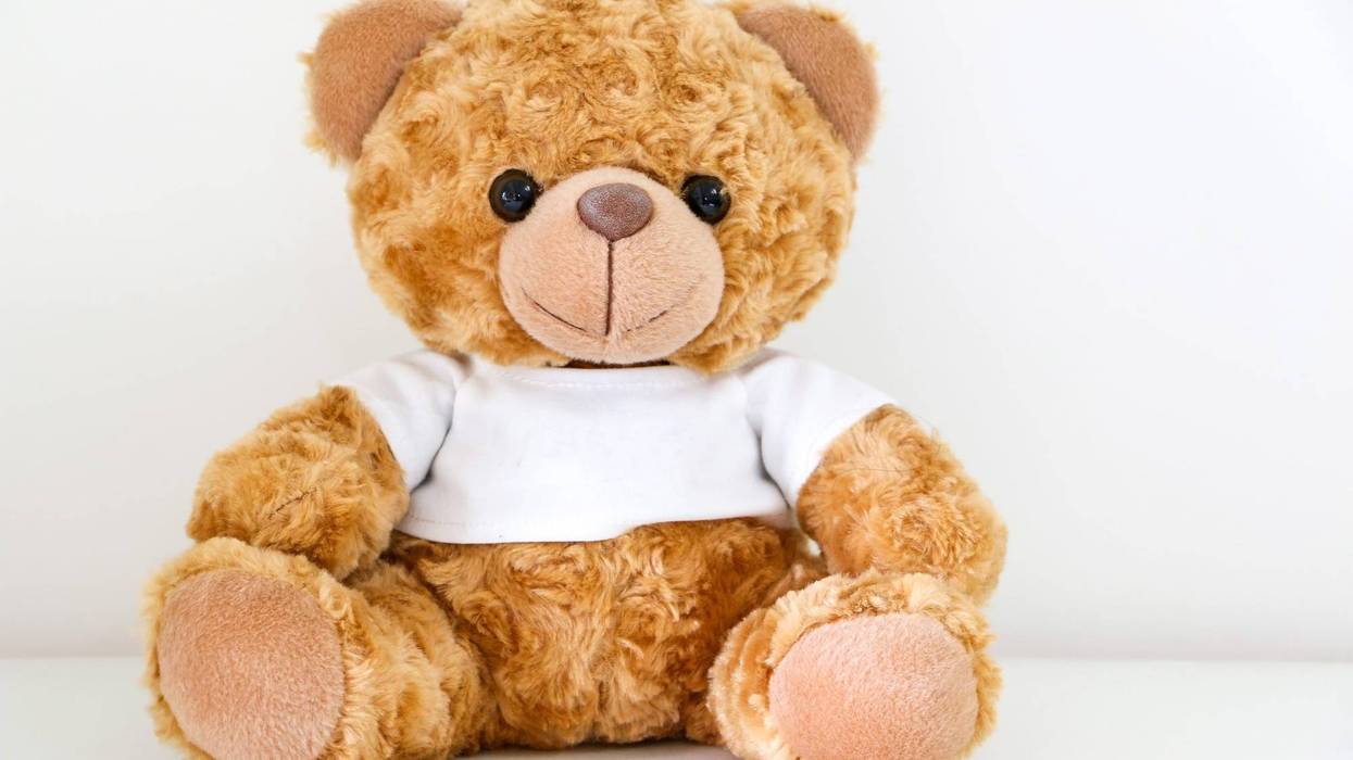 Teddy bear