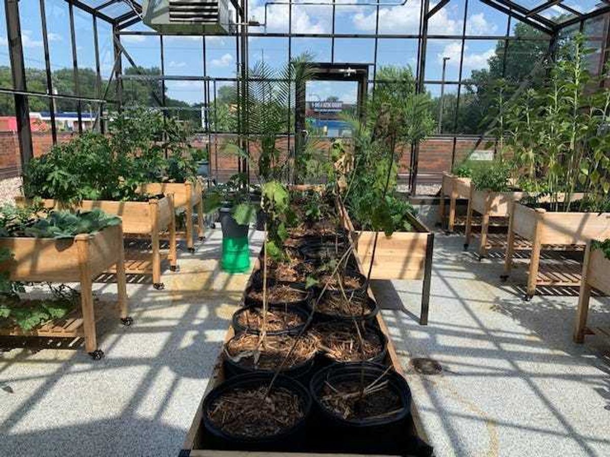 temperature controlled greenhouse