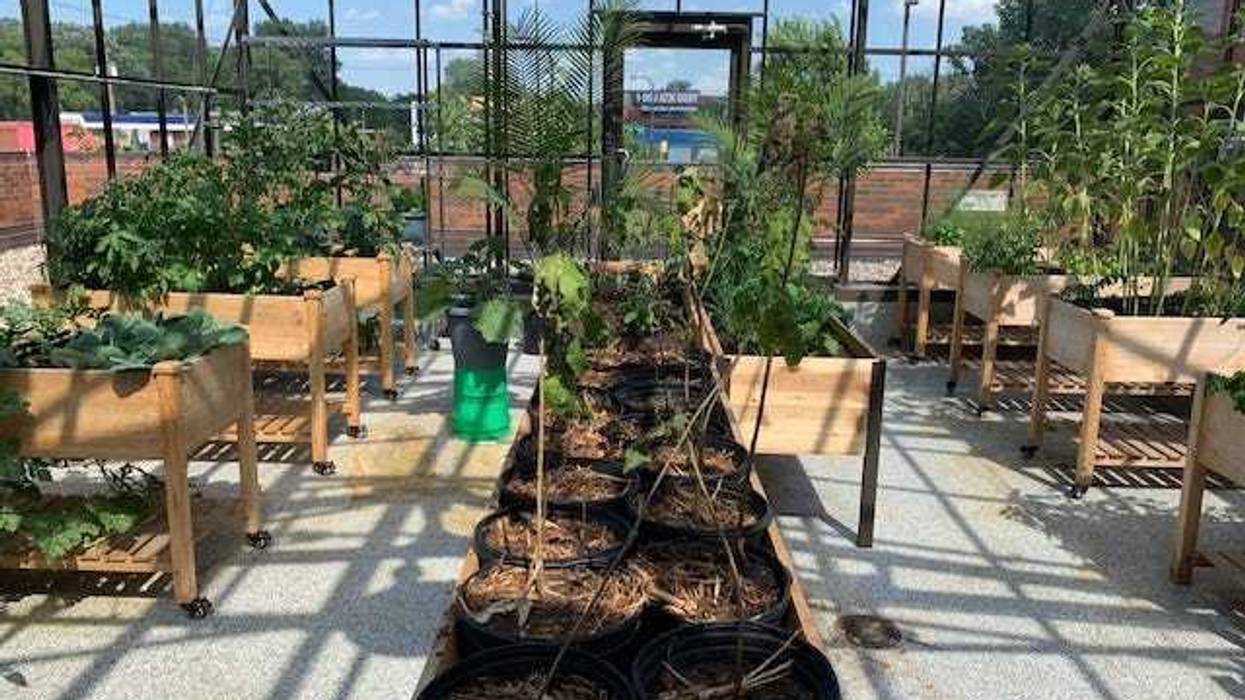 temperature controlled greenhouse