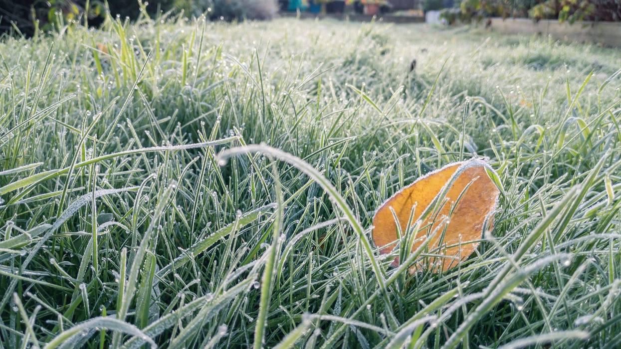 Temperatures fell as low as 29 degrees in some parts of the Bay Area.