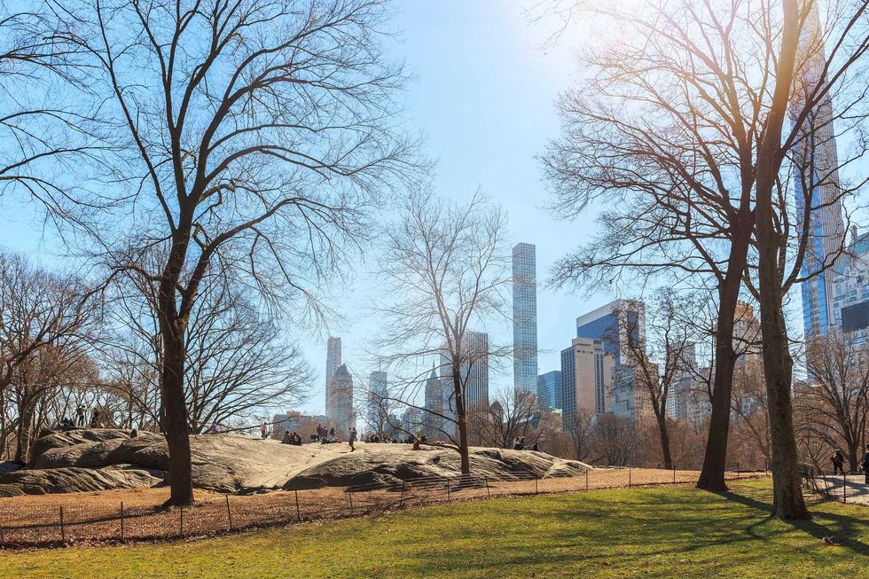 Temps will reach the 50s by this weekend, when a mix of sun and clouds, and a chance shower, is in the forecast