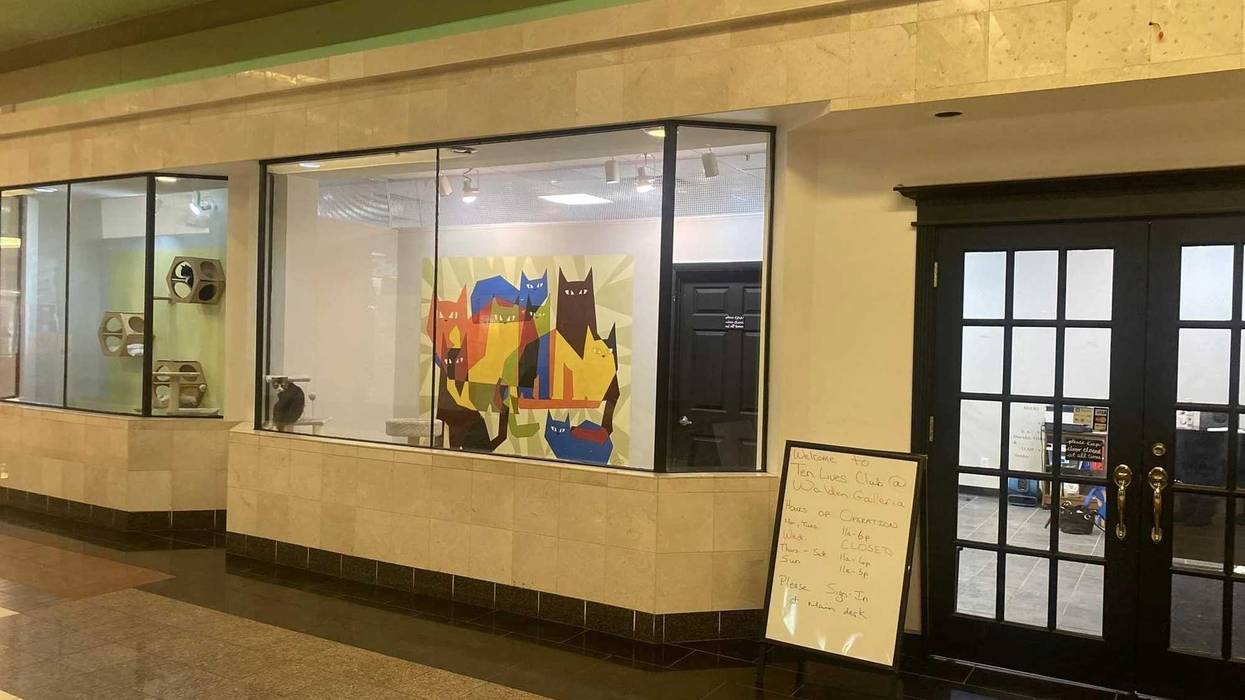 Ten Lives Club opens at Galleria