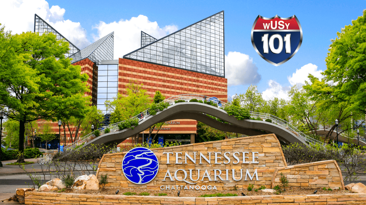 Tennessee Aquarium 