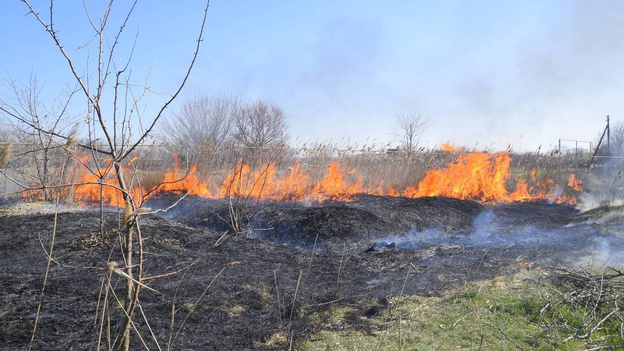 Texas A&M Forest Service has been called to assist with almost 50 wildfires since Friday