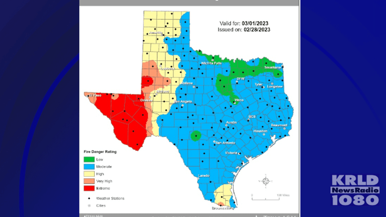 Texas A&M Forest Services
