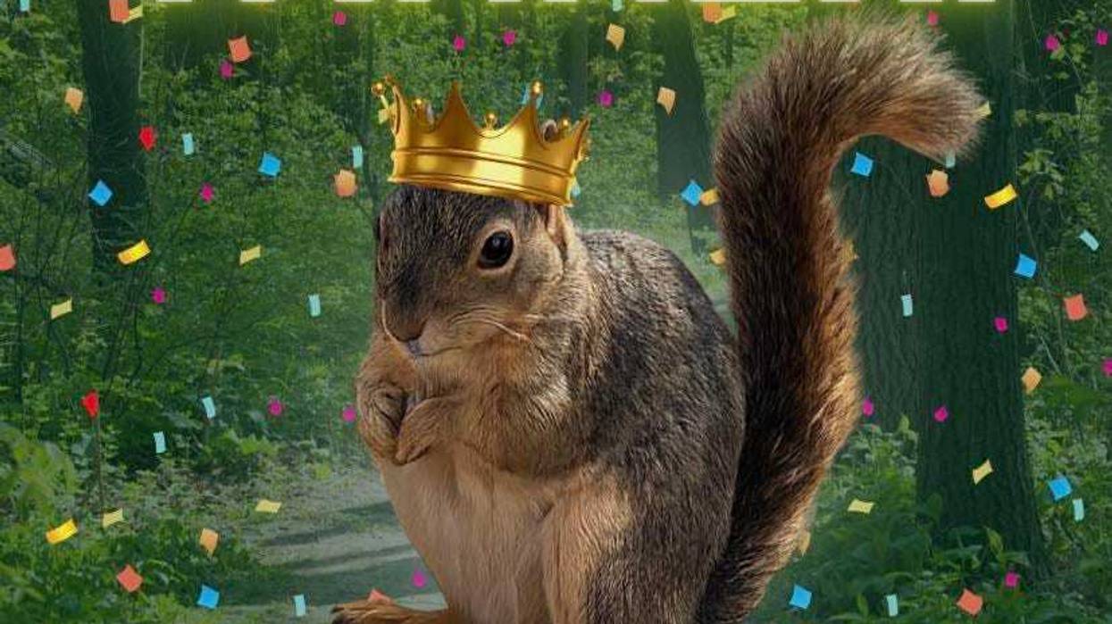 Texas Parks and Wildlife Department has kicked off its inaugural Fat Squirrel Week, a lighthearted bracket competition among squirrels from 16 state parks, with fans voting on their fluffiness and charm online.