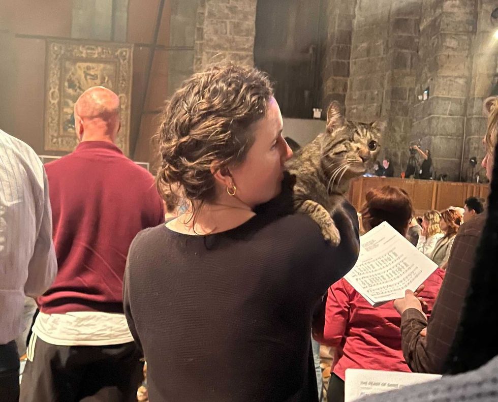 The annual "Blessing of the Animals" at the cathedral of St. John the Divine in Morningside Heights took place on Sunday.
