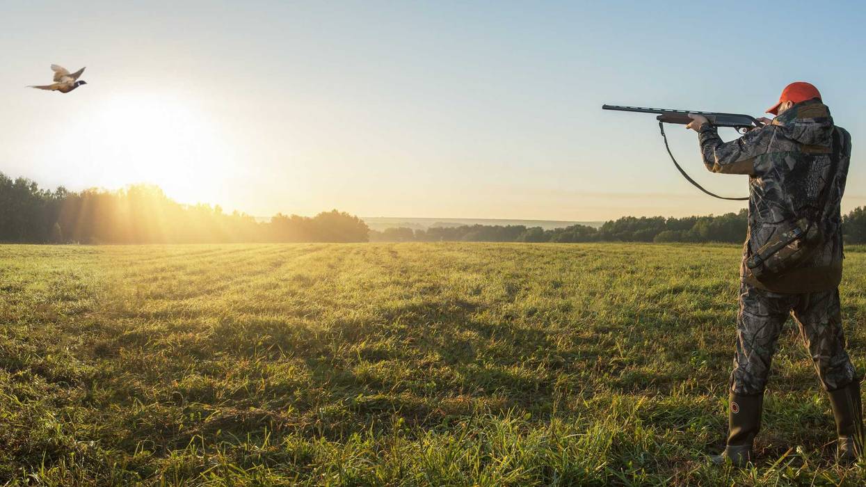 The annual Governor’s Pheasant Hunting Opener starts Friday in Ortonville Minnesota.