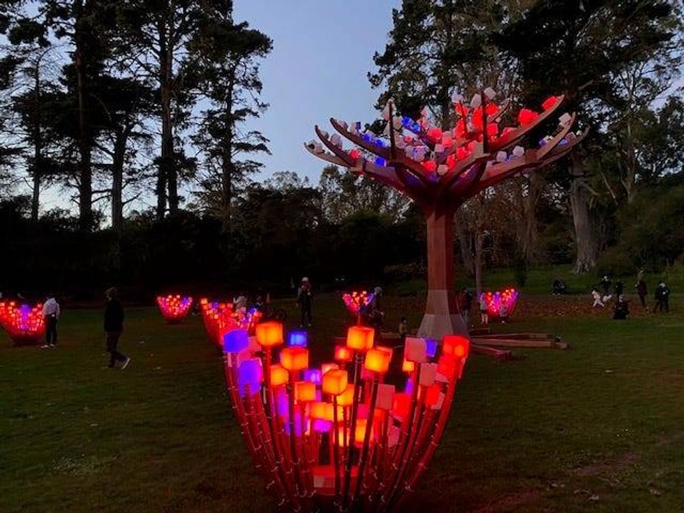 The art installation "Entwined" lights up the Peacock Meadow in Golden Gate Park