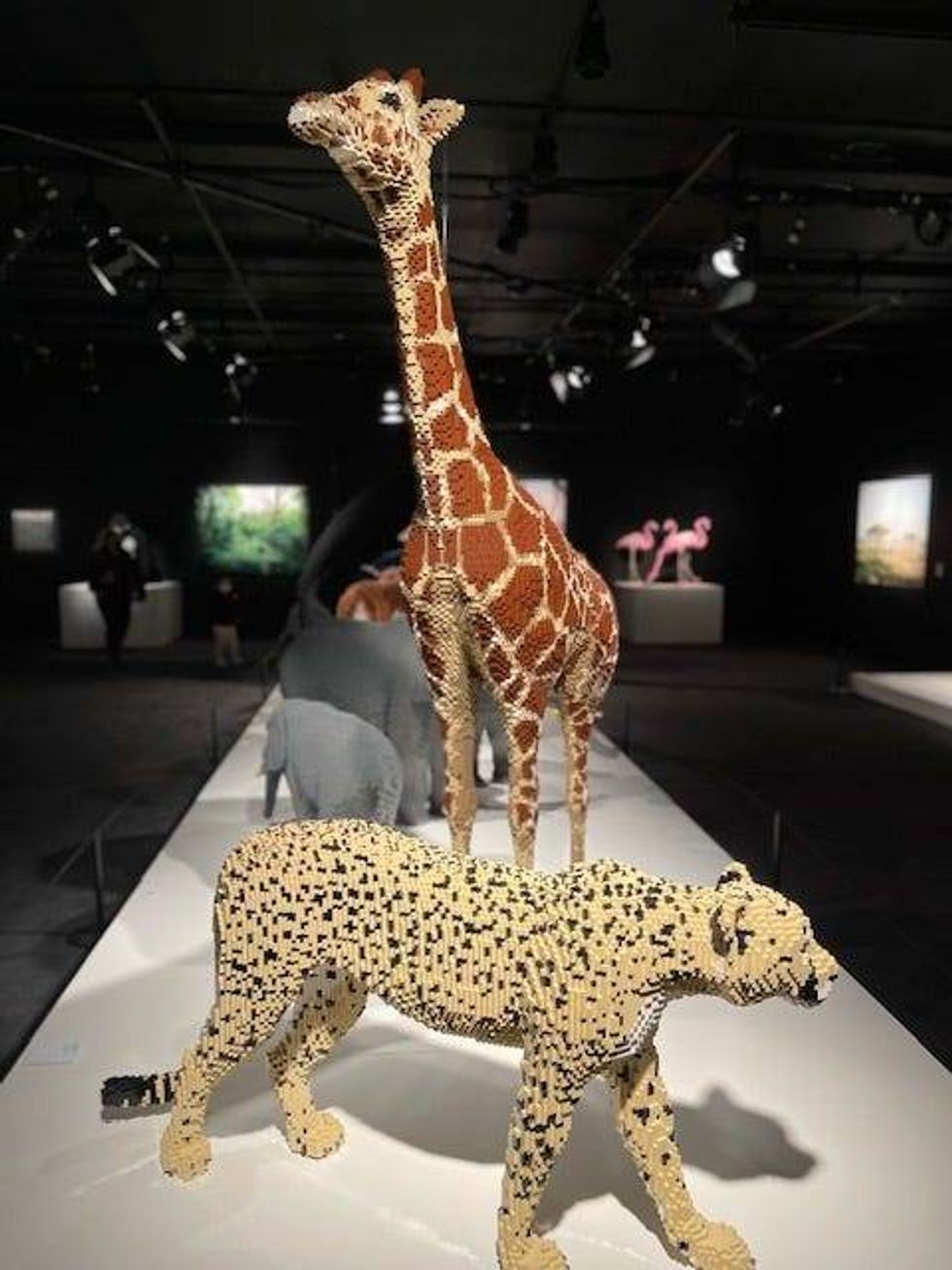The Art of The Brick is the first major museum exhibition to use LEGO bricks as the sole art medium.