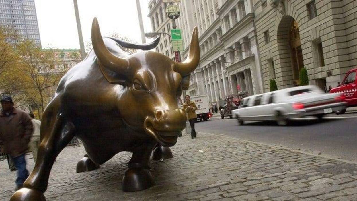 The bears and the bulls