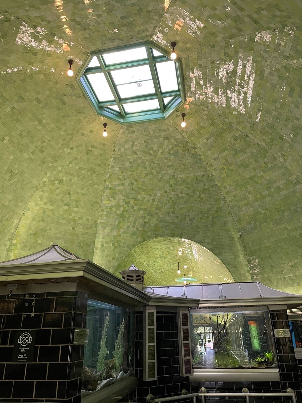 The Belle Isle Aquarium
