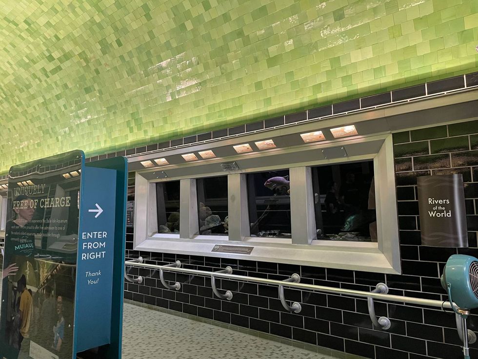 The Belle Isle Aquarium