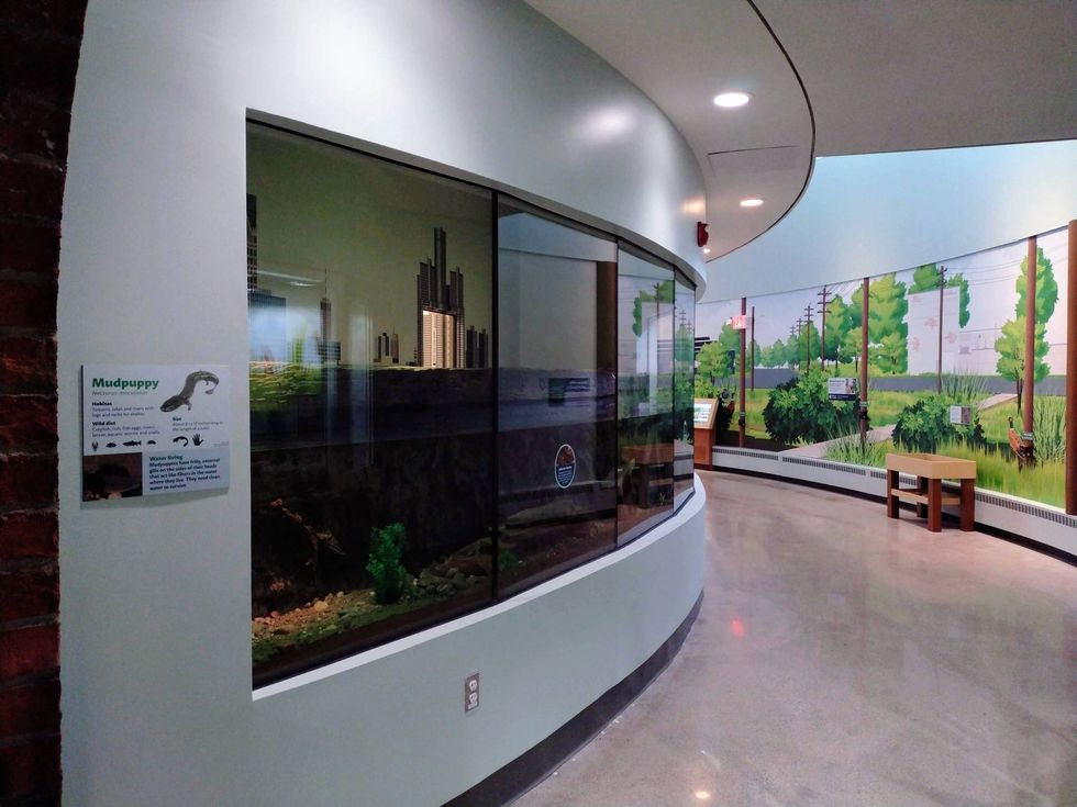 The Belle Isle Nature Center is set to open to the public after undergoing extensive renovations for the past two years, officials announced on Wednesday.