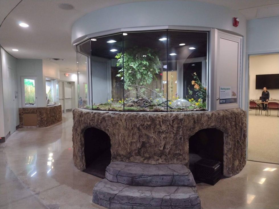 The Belle Isle Nature Center is set to open to the public after undergoing extensive renovations for the past two years, officials announced on Wednesday.