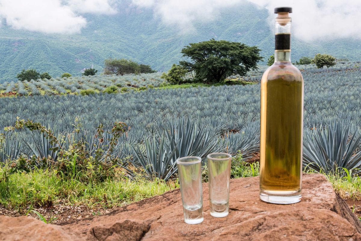 The best bottles of tequila