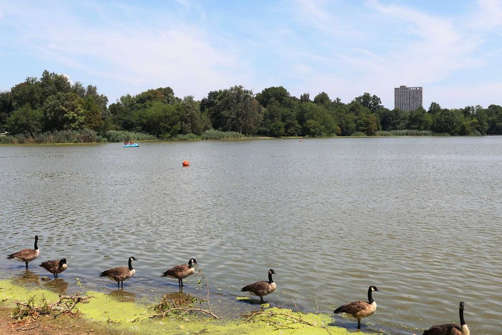 The boy was playing with other kids in Prospect Park Lake when he went under around 5:30 p.m. Tuesday