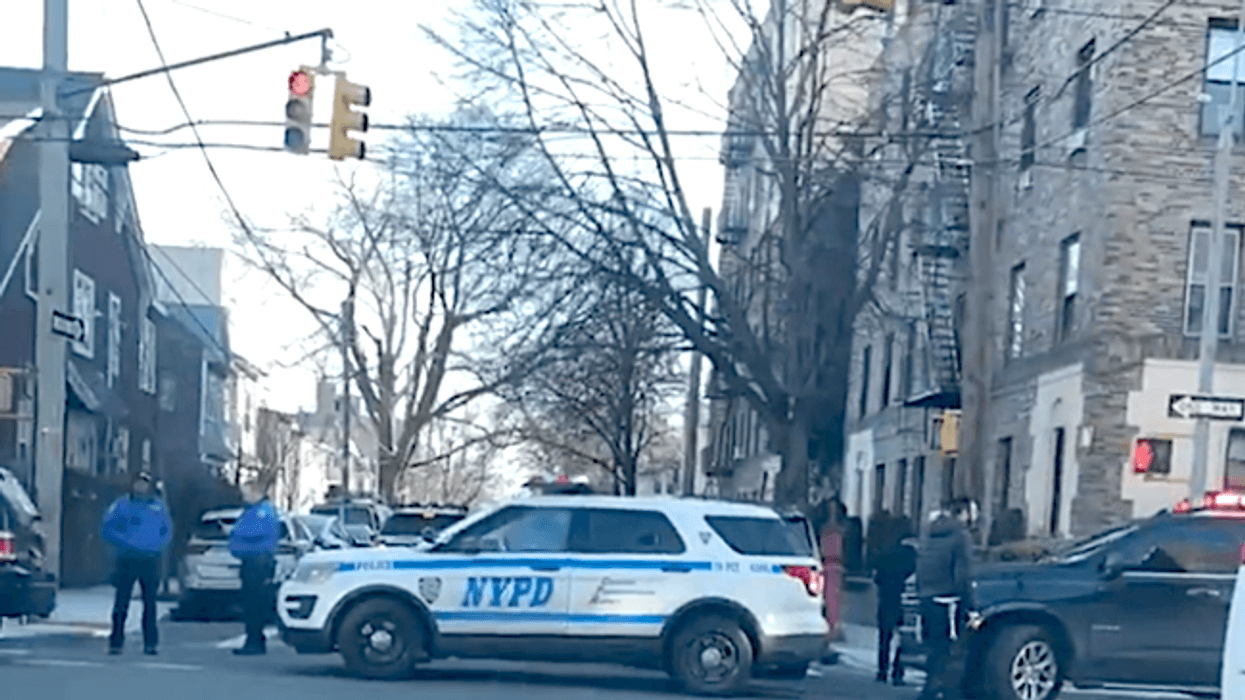 The boy was struck by a BMW in a driveway near his home in Midwood on Feb. 9, police said