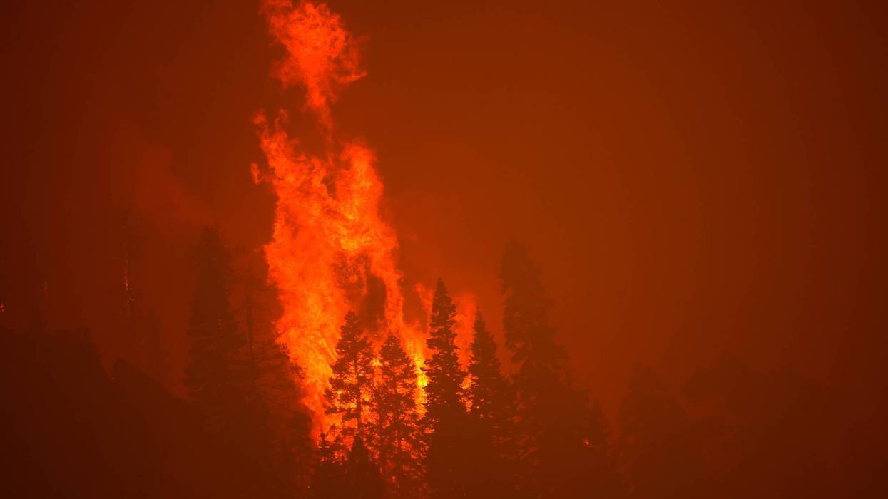 The Caldor Fire burns through trees on August 30, 2021 near South Lake Tahoe, California.