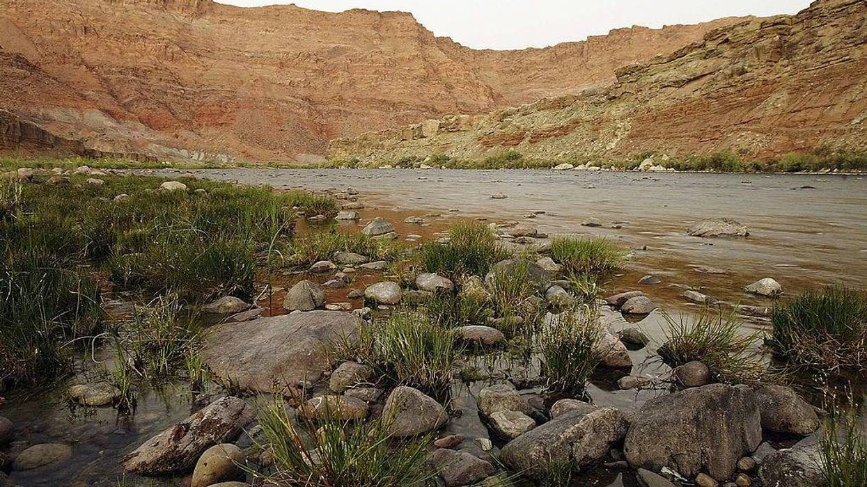 The Colorado River flows though Marble Canyon downstream from Glen Canyon Dam and Lake Powell as the five-year-old Western drought continues on September 26, 2004 southwest of Page, Arizona.