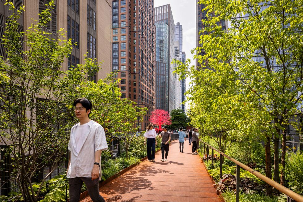 The connector includes a richly planted, 340-foot Woodland Bridge that runs above W. 30th Street from the High Line