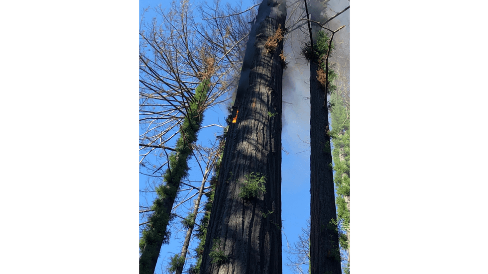 The CZU Lightning Complex fires were started by lightning strikes in August 2020.