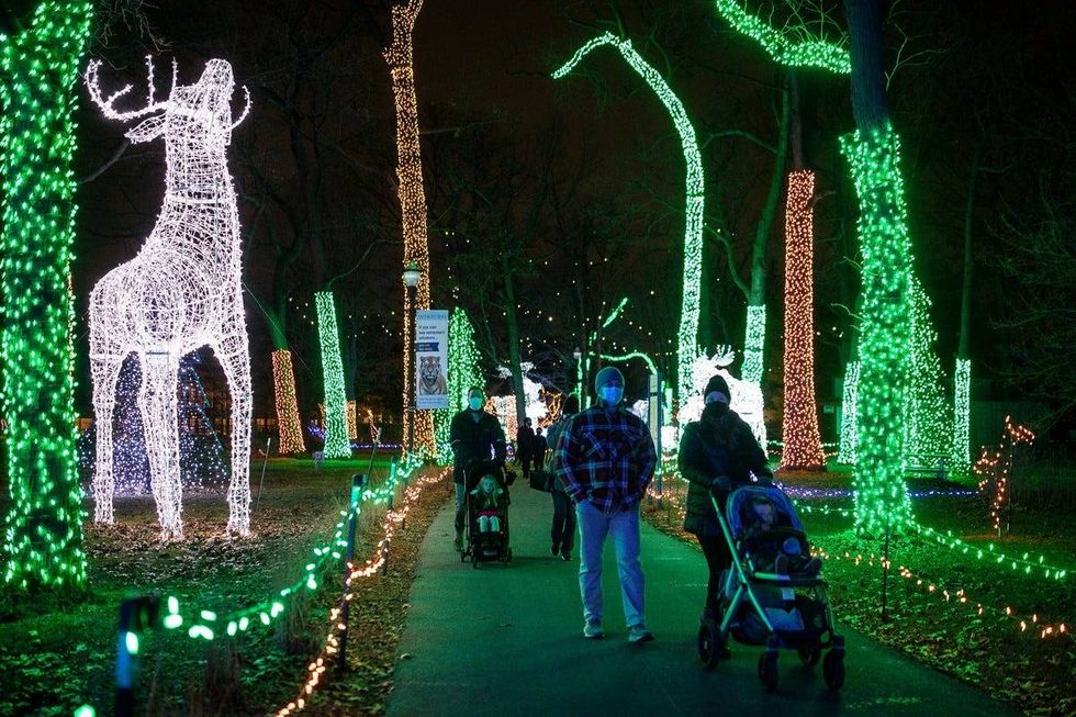 The Detroit Zoo