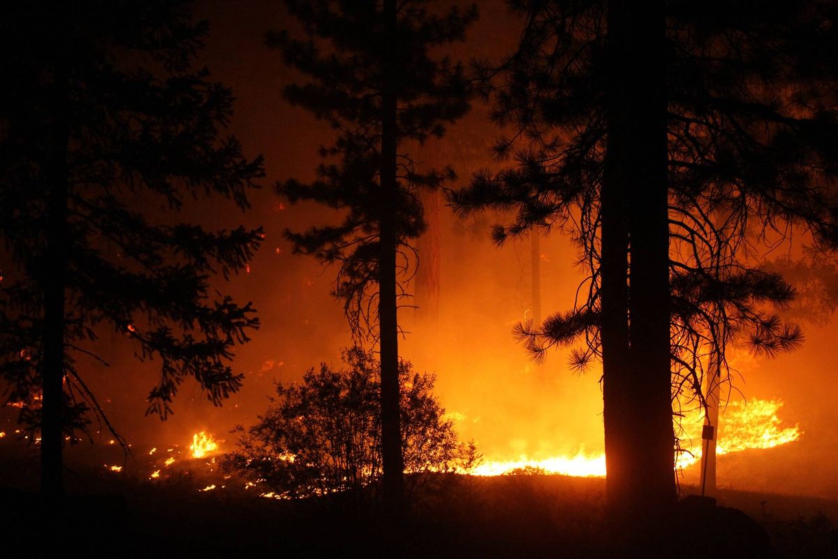 The Dixie Fire burns in the forest along Route 89 between Greenville and Canyondam on Wednesday night (Aug. 5, 2021).